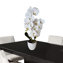 SILK WHITE ORCHID