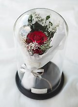 Single Rose in Glass